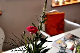 frühling ins haus geholt