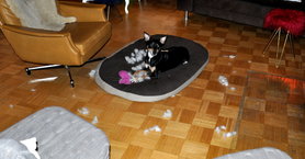 ...das war ich nicht......