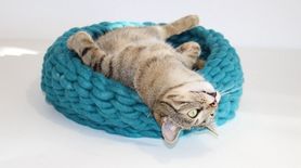 jetzt kommt die kuschelige