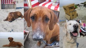 Wir lieben das Meer!!!