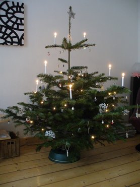 Weihnachtsbaum 2011