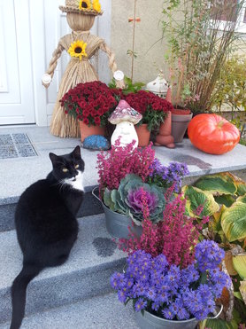 Herbststimmung vor der Türe