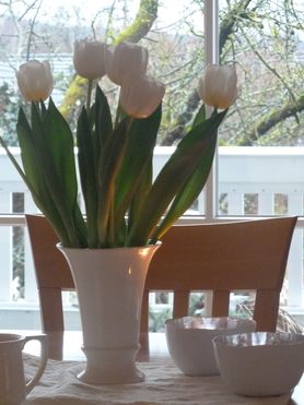 Tulpen-Liebe