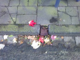 Stillleben am Wegesrand