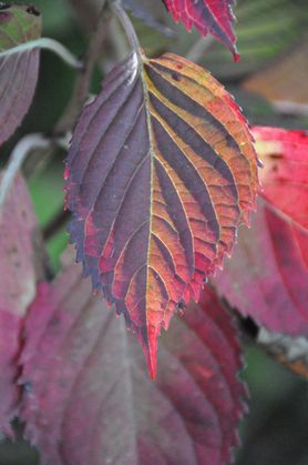 Ich find‘s einfach schön.