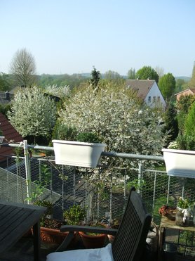 Blick aus Balkontür