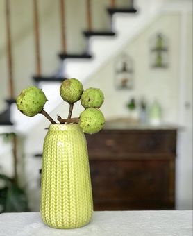 Die kleinen „Igelchen“ mag