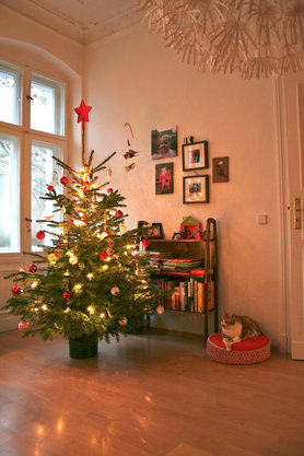 Weihnachtsbaum 2011