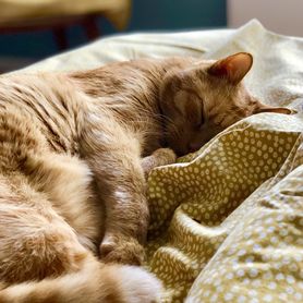 good morning friday...ich weiß