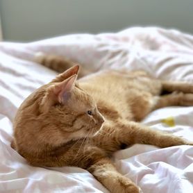 noch genau ☝🏻Woche und