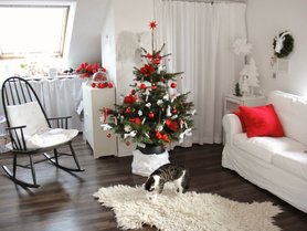 Weihnachten 2012 mit Katze