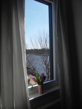 Ausblick Arbeitszimmer