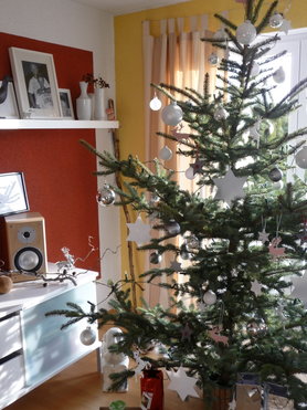Weihnachtsbaum 2011