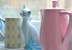 Neuzugänge am Küchenfenster