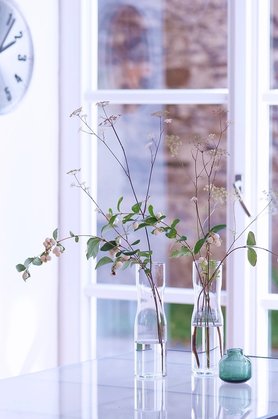 Heute bei mir in der Vase