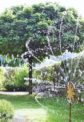 Heute in meinem Garten...