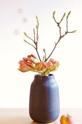 Heute bei mir in der Vase