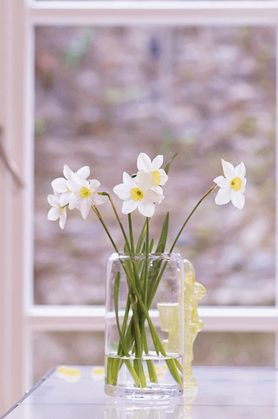 Ganz schön zerbrechlich :