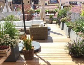 Bild von Wolkenkuckucksheim.