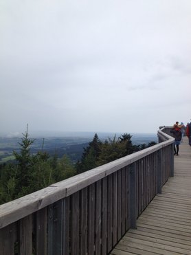 Ausflugstipp: WaldWipfelWeg Maibrunn im Bayrischen Wald