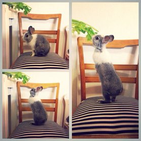 Ich bin machtlos.......