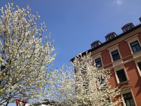 Frühling in MUC
