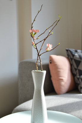 Quitte quittequittequittequittequitte