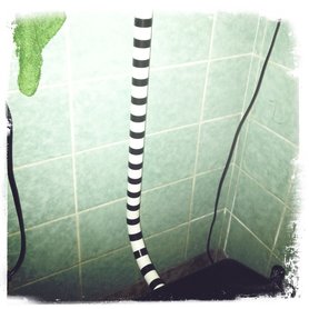 Wasserzulauf geringelt