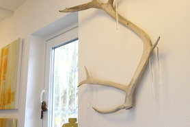 Die ersten Eiszapfen