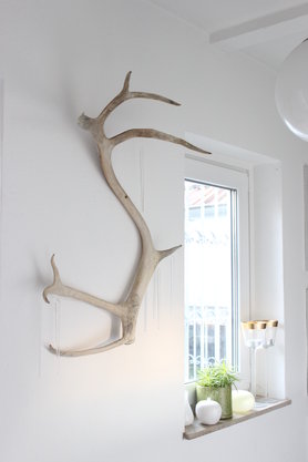 Die ersten Eiszapfen