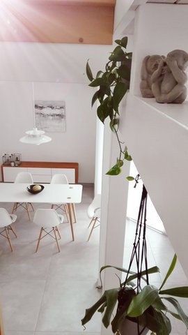 NEUES BILD UND AFFENPLAGE