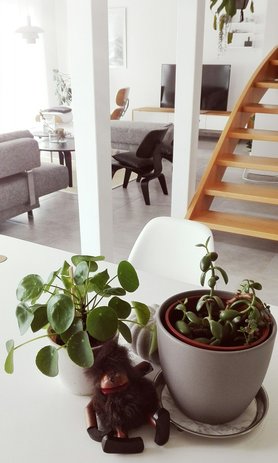 Passend zum Herbst zieht ...