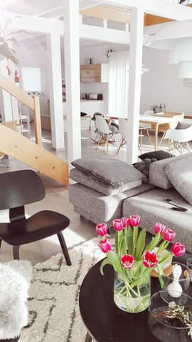 Sonnenschein und pinke Tulpen