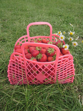 Erst so - dann Erbeerlimes!