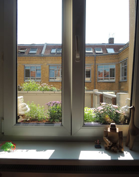 Ausblick Kinderzimmer