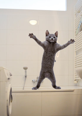 Details im Bad mit Katze 😉