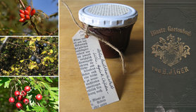 Spätherbstheckenfruchtmarmelade