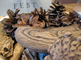 Der singende Christbaum