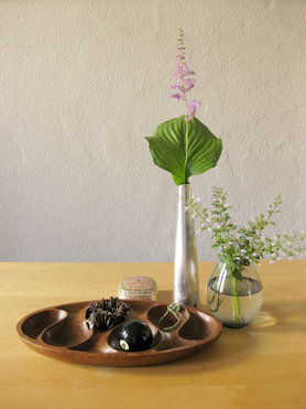 Filigrane Schönheiten...