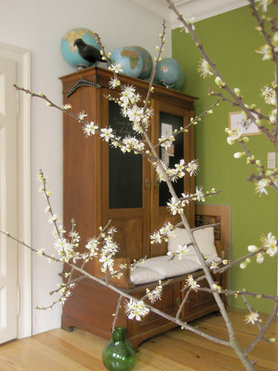 Der Frühling ist eingezogen II