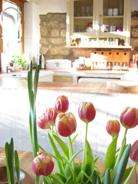 Sonne in der Küche....