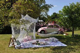 picknick im grünen ...