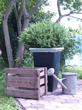 Spermüllfund und Geschenke...