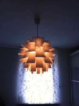 Heute sind eingezogen: Herr Copenhagen und...