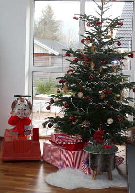 Weihnachten mit Familienzuwachs 2