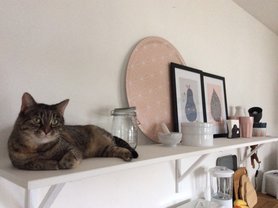 Neue Küchendeko ;-)