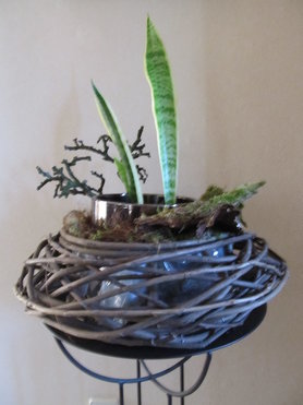 Dekoidee mit Apfelästen