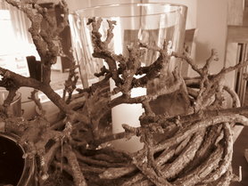 Deko mit Ästen (Sepia-Aufnahme)