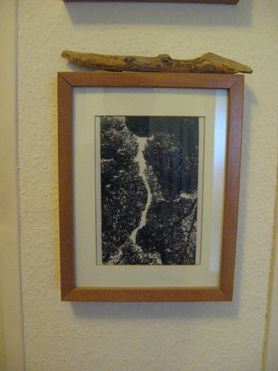 Ein bißchen Wald...