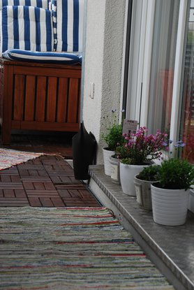 Die ersten Pflanzen sind da❀ ✿✲